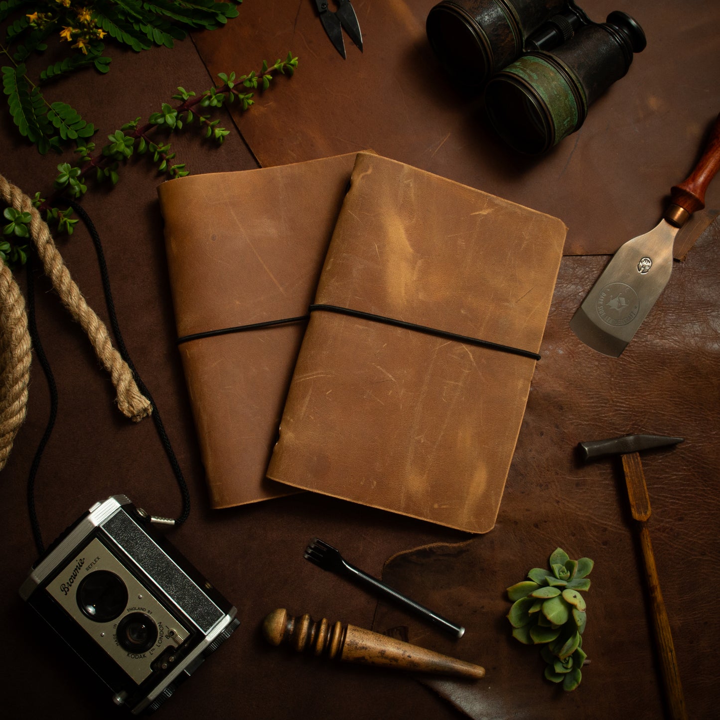Senepol Book